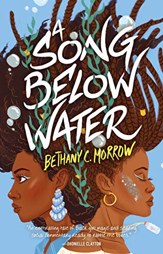 cover image A Song Below Water