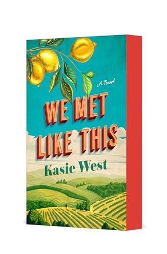 cover image We Met Like This