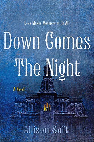 cover image Down Comes the Night