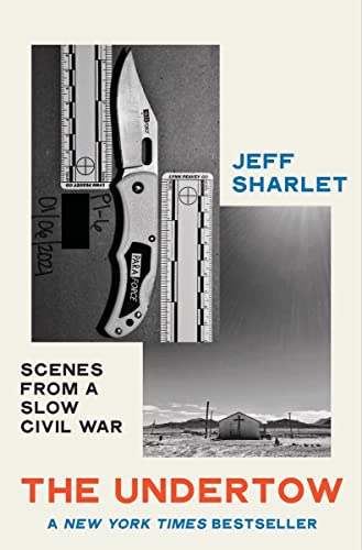 cover image The Undertow: Scenes from a Slow Civil War