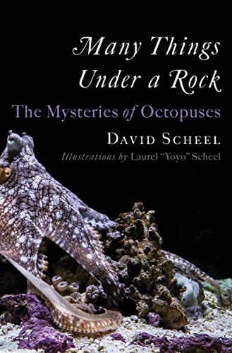 cover image Many Things Under a Rock: The Mysteries of Octopuses
