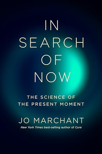 cover image In Search of Now: The Science of the Present Moment