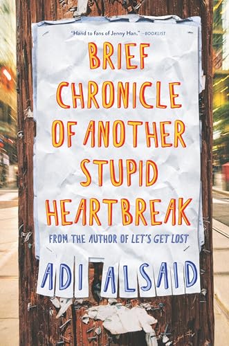 cover image Brief Chronicle of Another Stupid Heartbreak