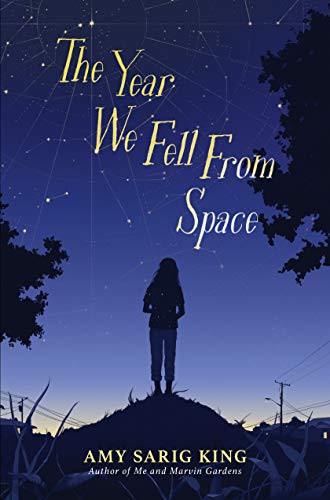 cover image The Year We Fell from Space