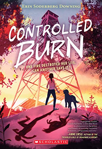 cover image Controlled Burn