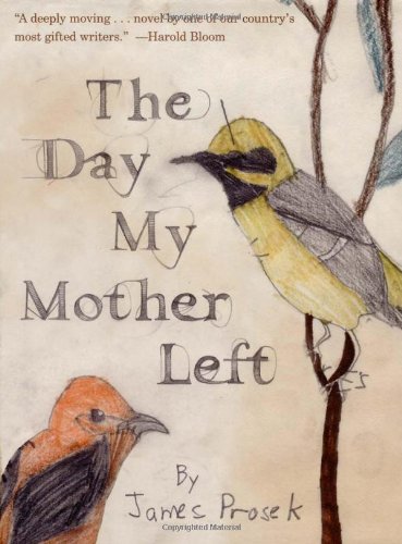 cover image The Day My Mother Left
