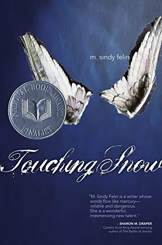 cover image Touching Snow
