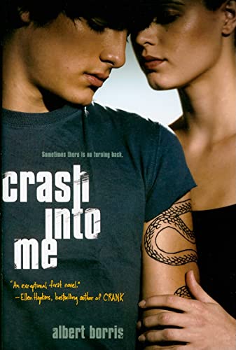 cover image Crash into Me