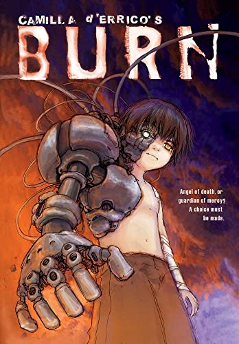 cover image Burn