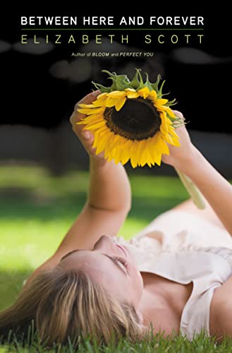 cover image Between Here and Forever