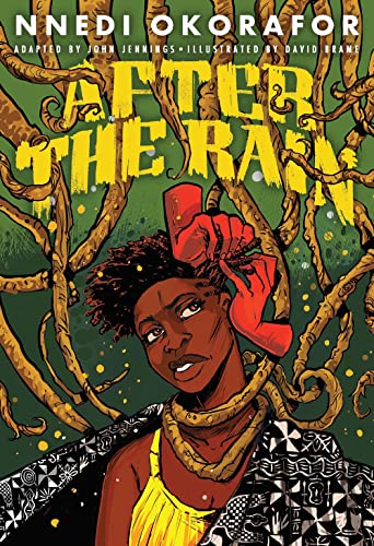 cover image After the Rain