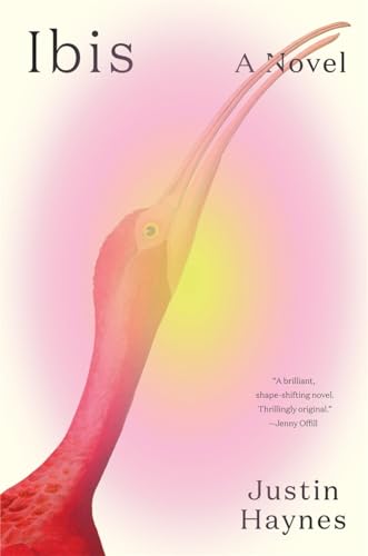 cover image Ibis