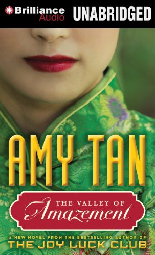 cover image The Valley of Amazement