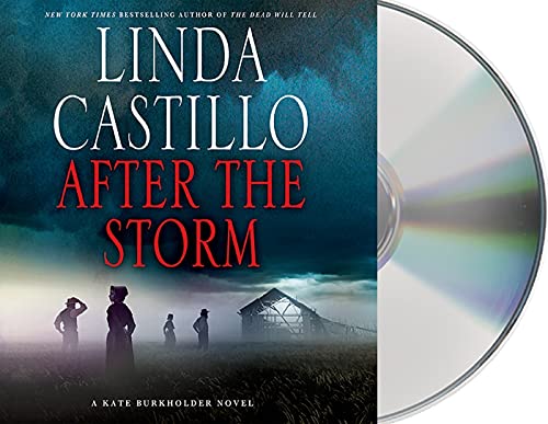 cover image After the Storm
