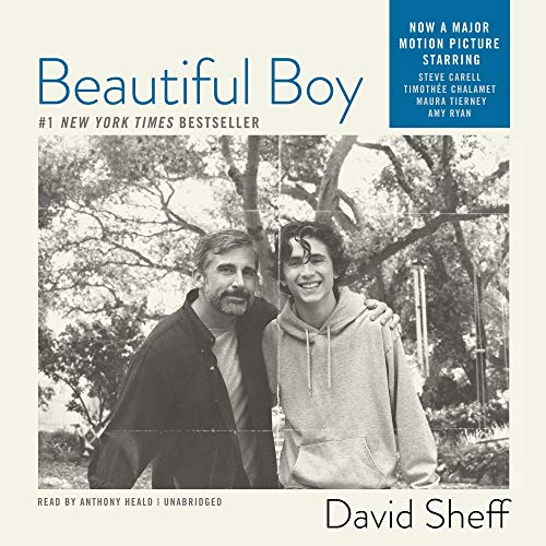 cover image Beautiful Boy