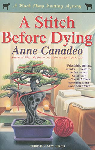 cover image A Stitch Before Dying