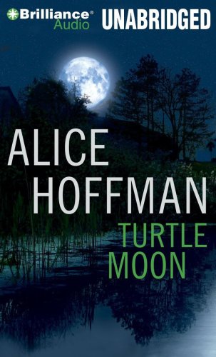 cover image Turtle Moon