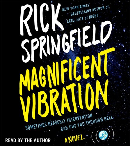 cover image Magnificent Vibration