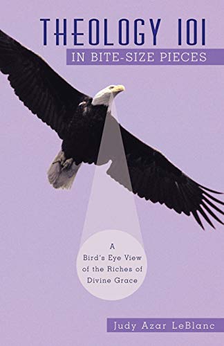 cover image Theology 101 in Bite-Sized Pieces: A Bird's Eye View of the Riches of Divine Grace