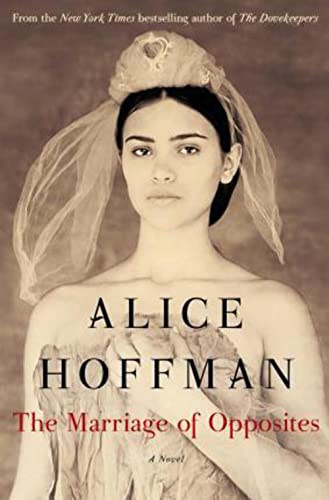 cover image The Marriage of Opposites