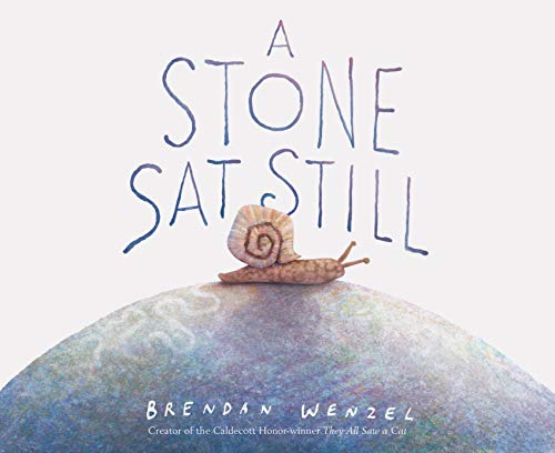 cover image A Stone Sat Still 