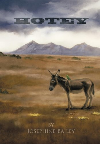 cover image Hotey
