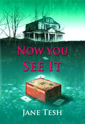 cover image Now You See It: A Grace Street Mystery