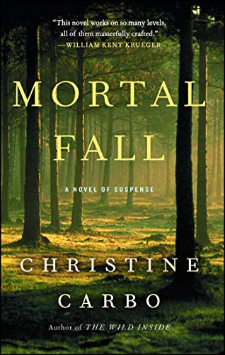 cover image Mortal Fall