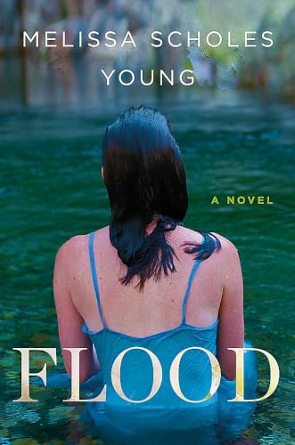 cover image Flood