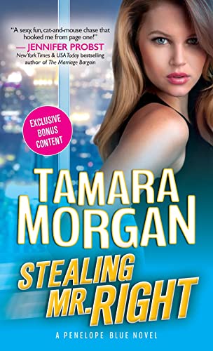 cover image Stealing Mr. Right