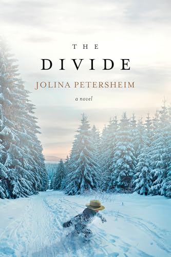 cover image The Divide