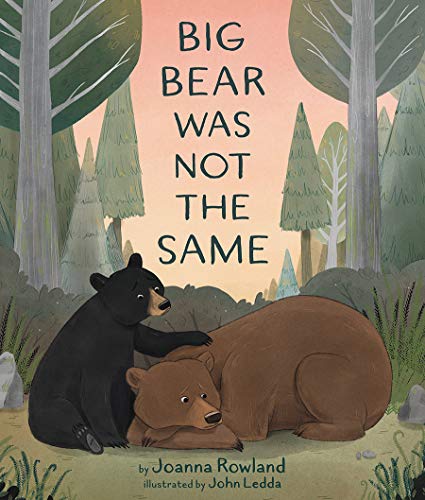cover image Big Bear Was Not the Same