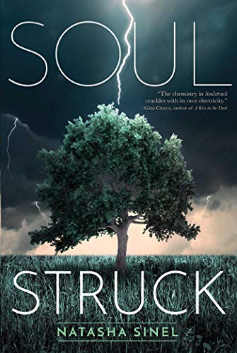 cover image Soulstruck