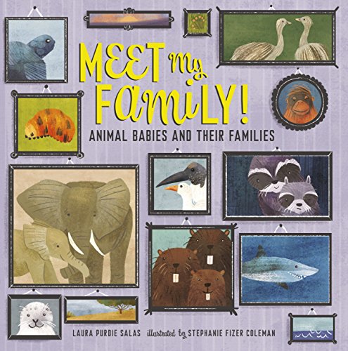 cover image Meet My Family! Animal Babies and Their Families