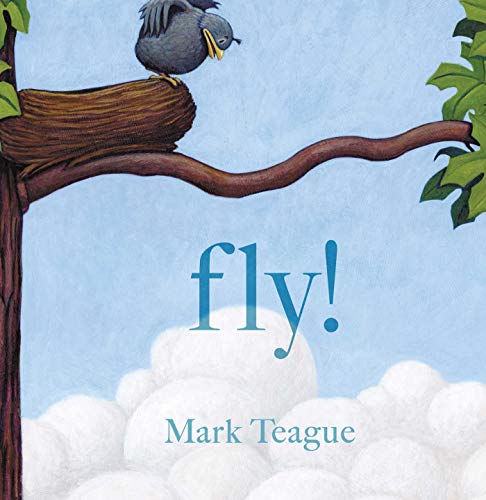 cover image Fly!