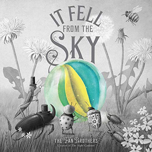 cover image It Fell from the Sky