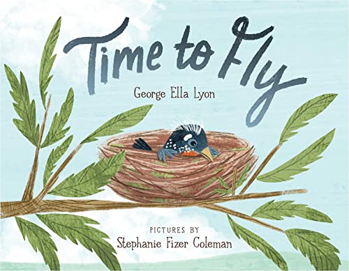 cover image Time to Fly