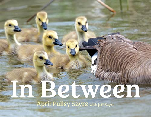 cover image In Between