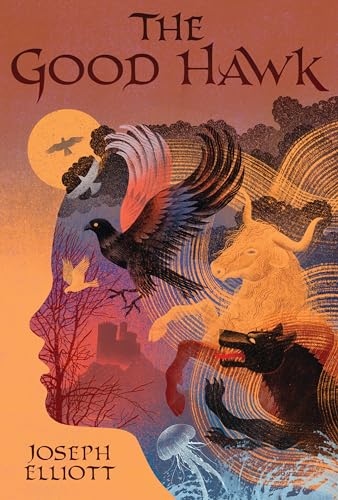 cover image The Good Hawk (Shadow Skye #1)