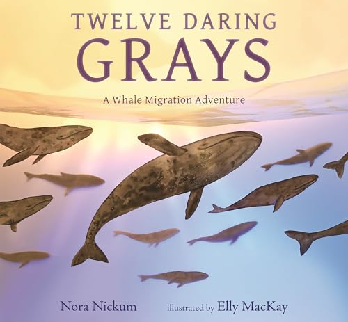 cover image Twelve Daring Grays: A Whale Migration Adventure 