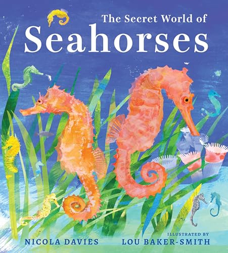 cover image The Secret World of Seahorses