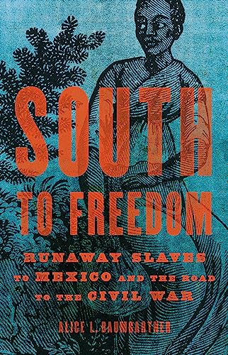 cover image South to Freedom: Runaway Slaves to Mexico and the Road to the Civil War