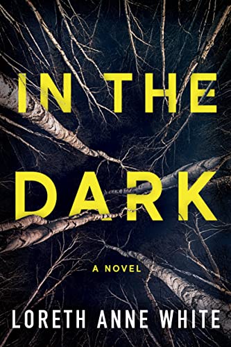 cover image In the Dark
