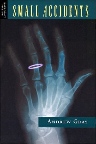 cover image SMALL ACCIDENTS