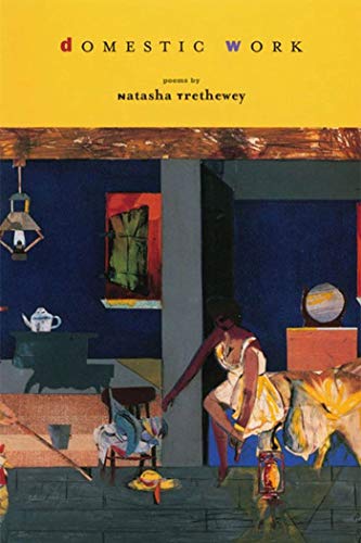 cover image Domestic Work