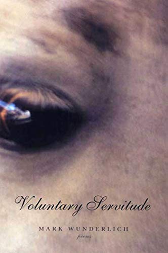 cover image VOLUNTARY SERVITUDE