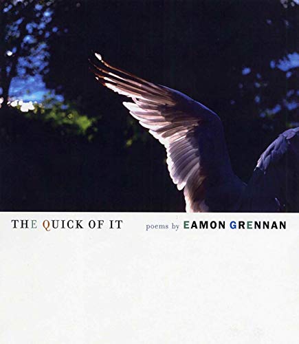 cover image THE QUICK OF IT