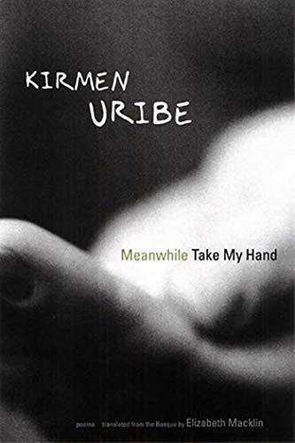 cover image Meanwhile Take My Hand