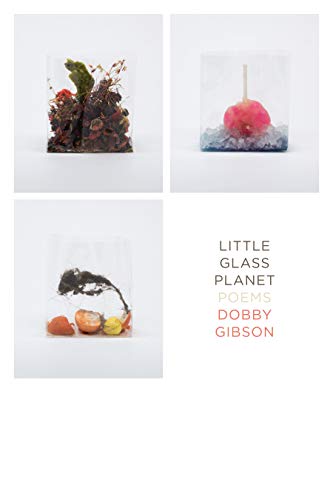 cover image Little Glass Planet