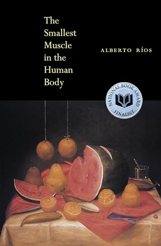 cover image THE SMALLEST MUSCLE IN THE HUMAN BODY